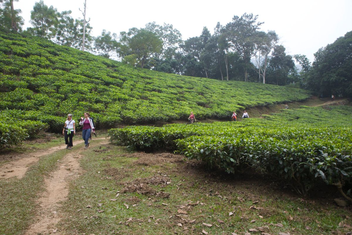 INDIA 2009  4028.jpg