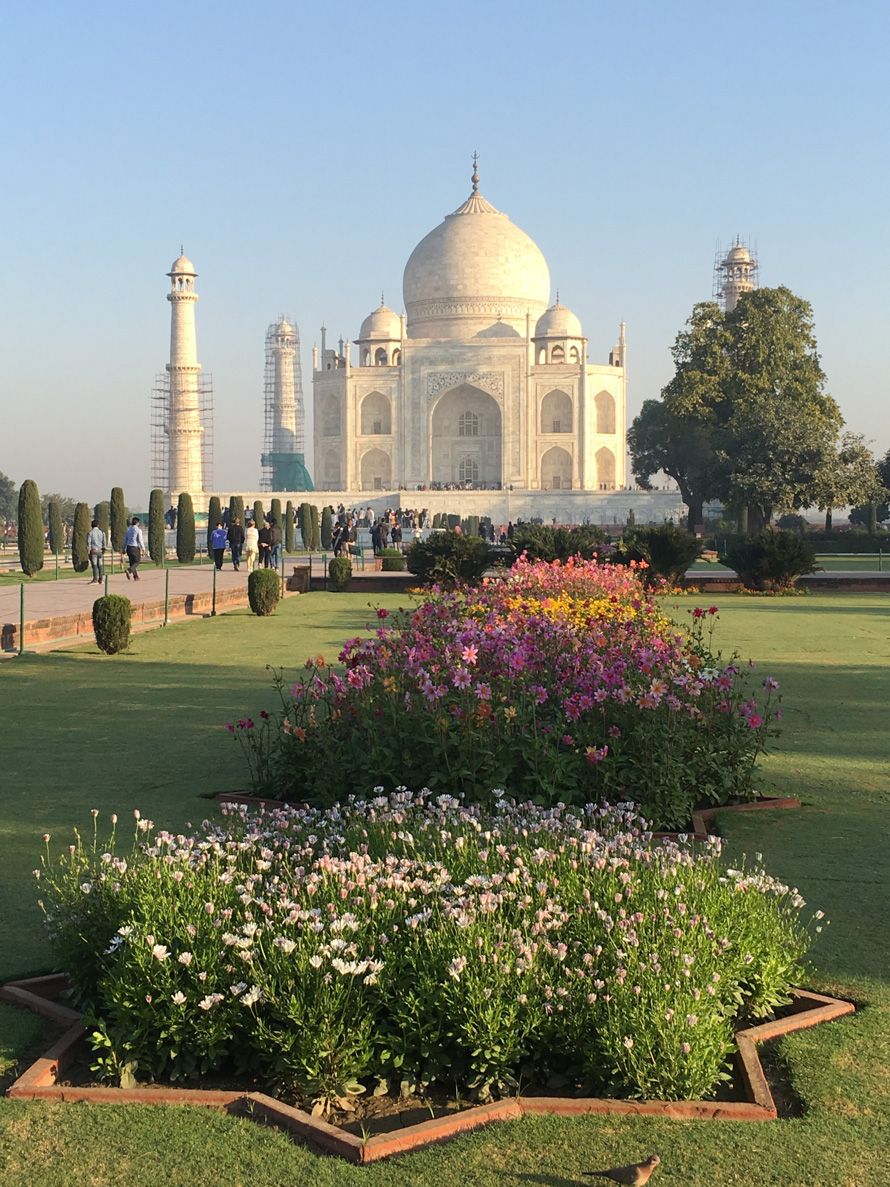 INDIA 16 coed 2-23 38631.jpg