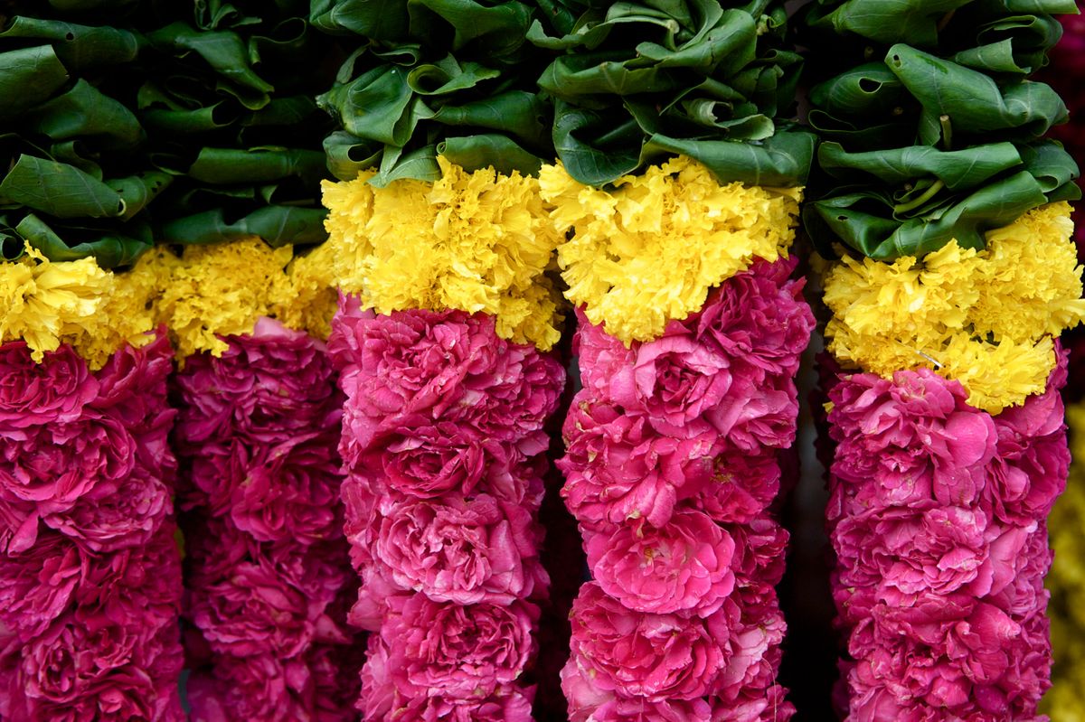 SRI LANKA day 8  10974.jpg