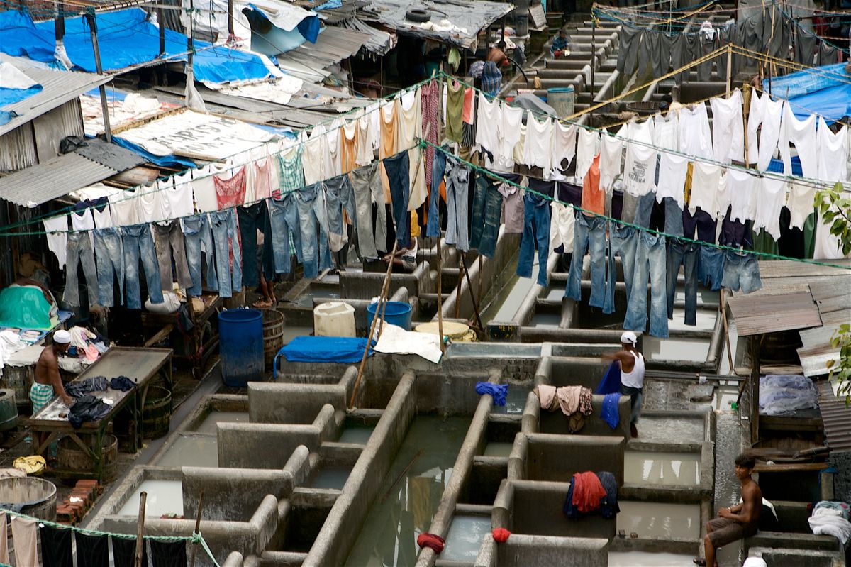 SRI LANKA bombay  9637.jpg