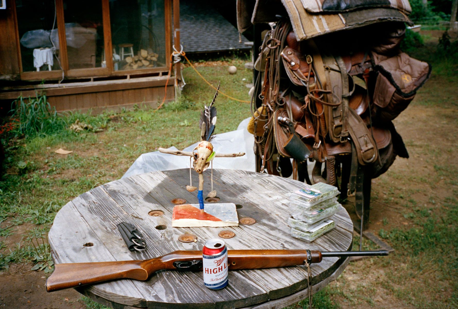 1donnelly_ranch_buffalo_ny_2012_omeally