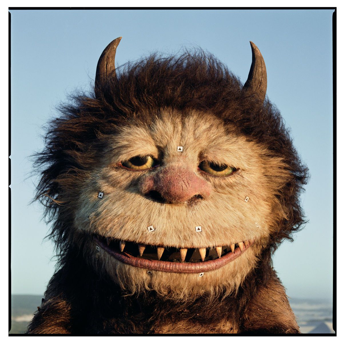 Where The Wild Things Are, 2010.  Director: Spike Jonze