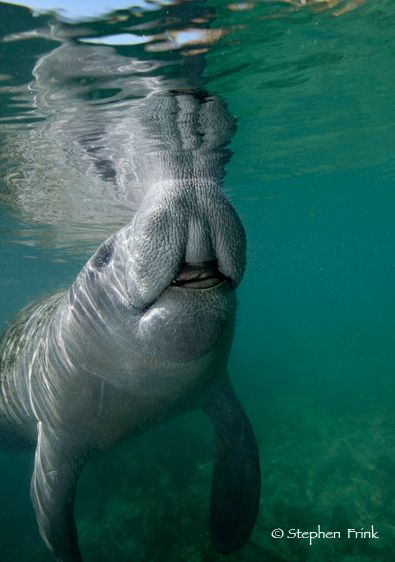 Three Sisters Spring