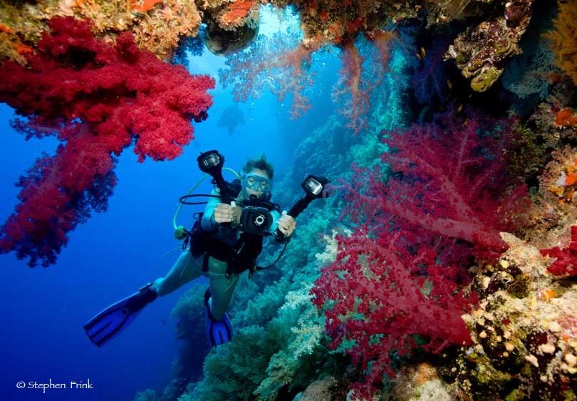 on board the MV Hurricane, diving the southern Red Sea