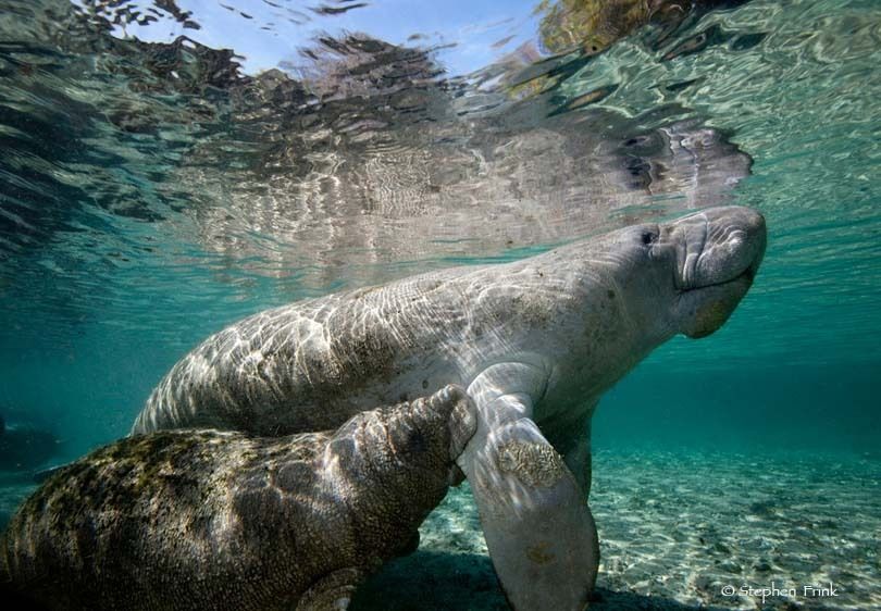 Three Sisters Spring