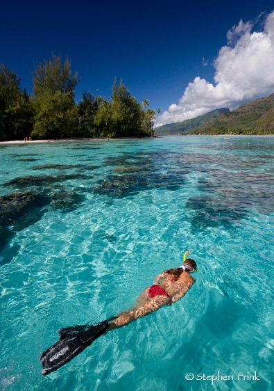 Snorkelers Float in Lagoon, Moorea