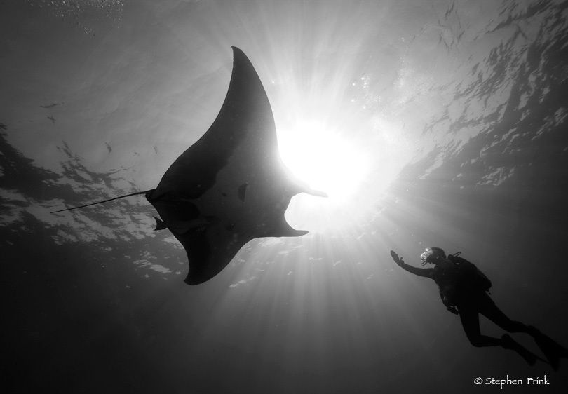 Kemo Dodge knife collection