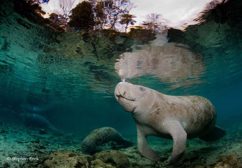 Three Sisters Spring
