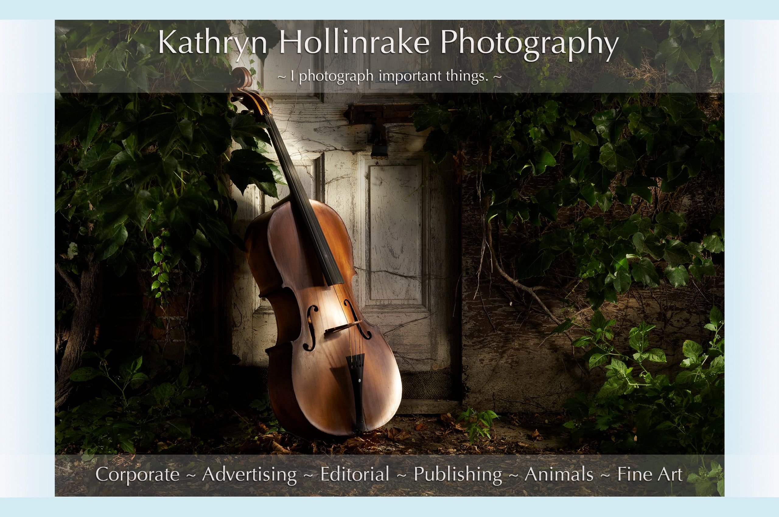 HomePage6New copy.jpg