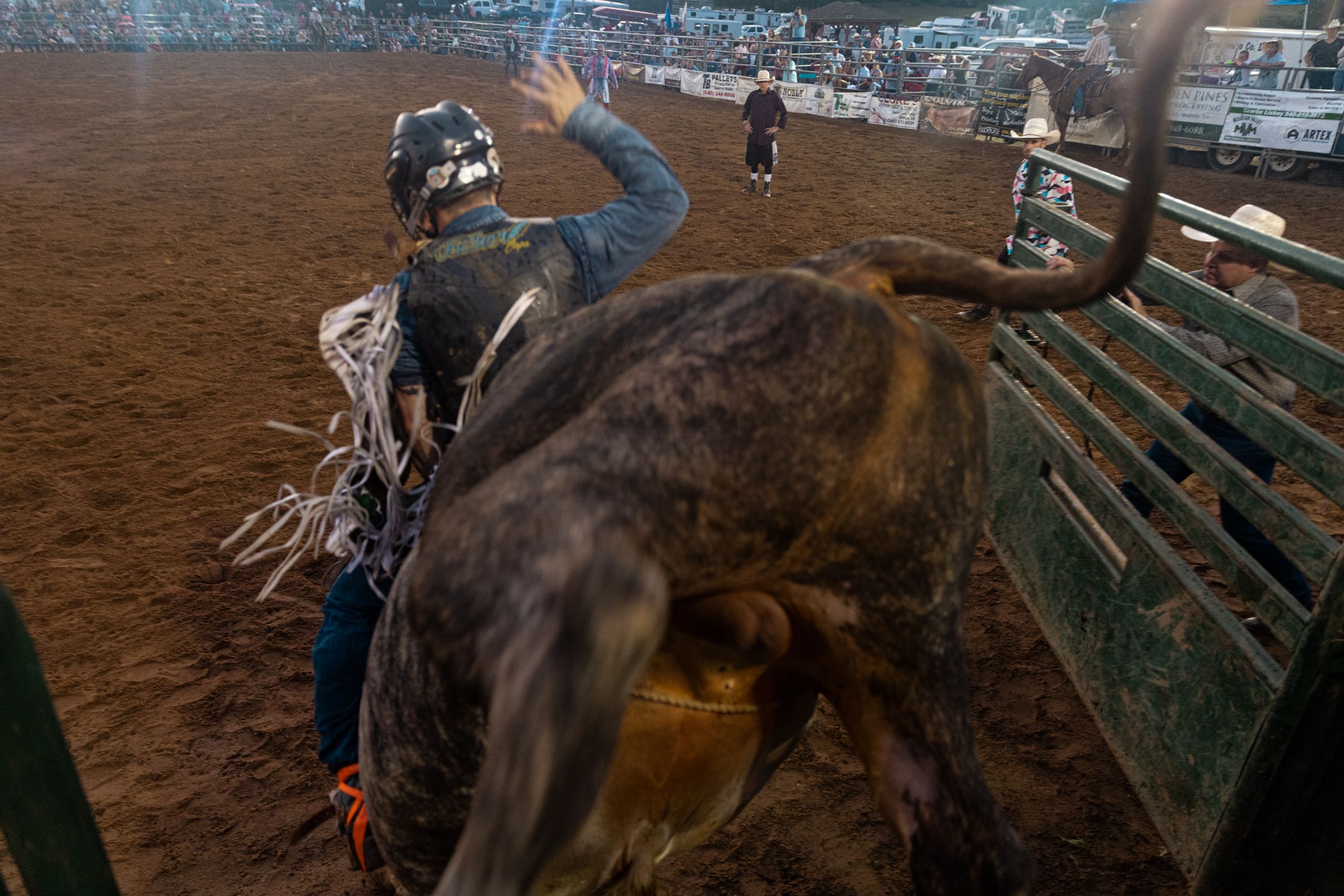 RODEO_EDIT-3.jpg