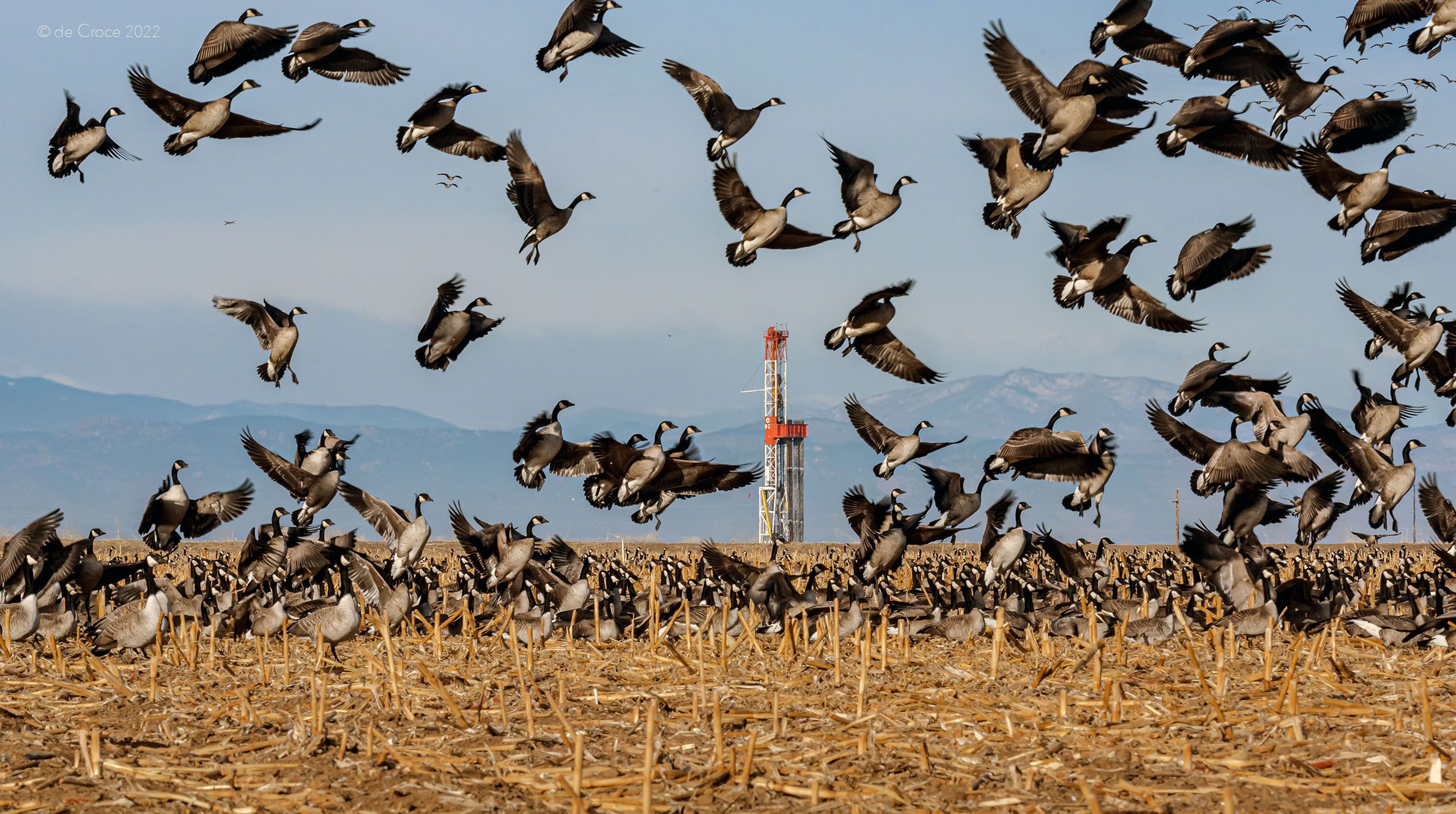 Commercial Energy Photography Oil - Colorado
