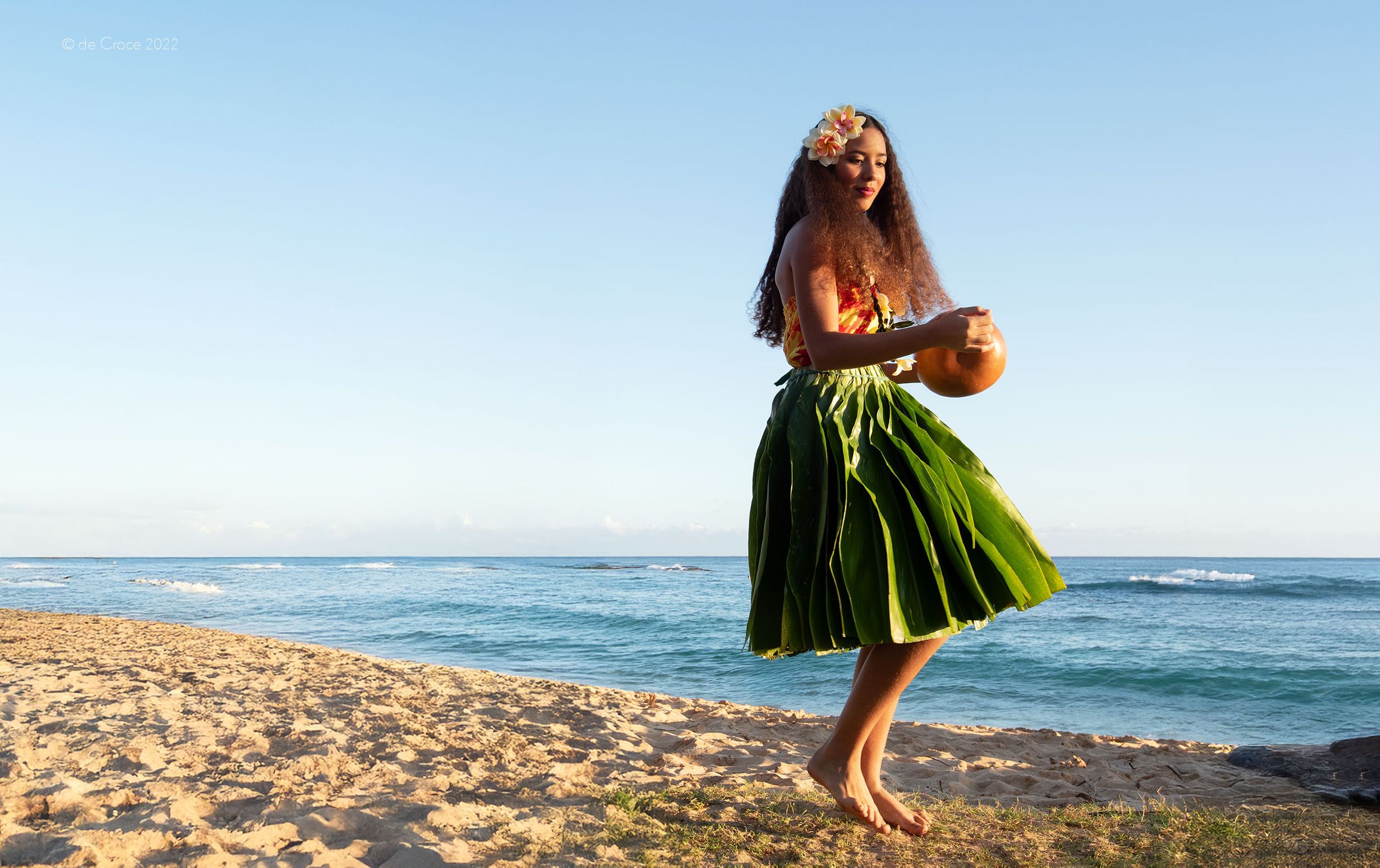 Travel Hawaii Luau Beach - Commercial Photography