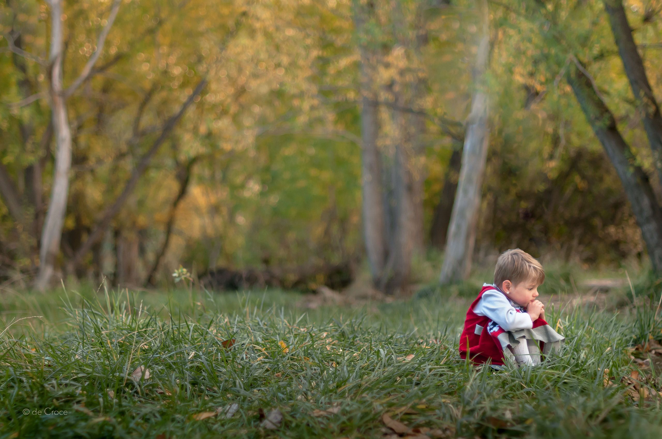 Girl In Wood - Lifestyle Photography