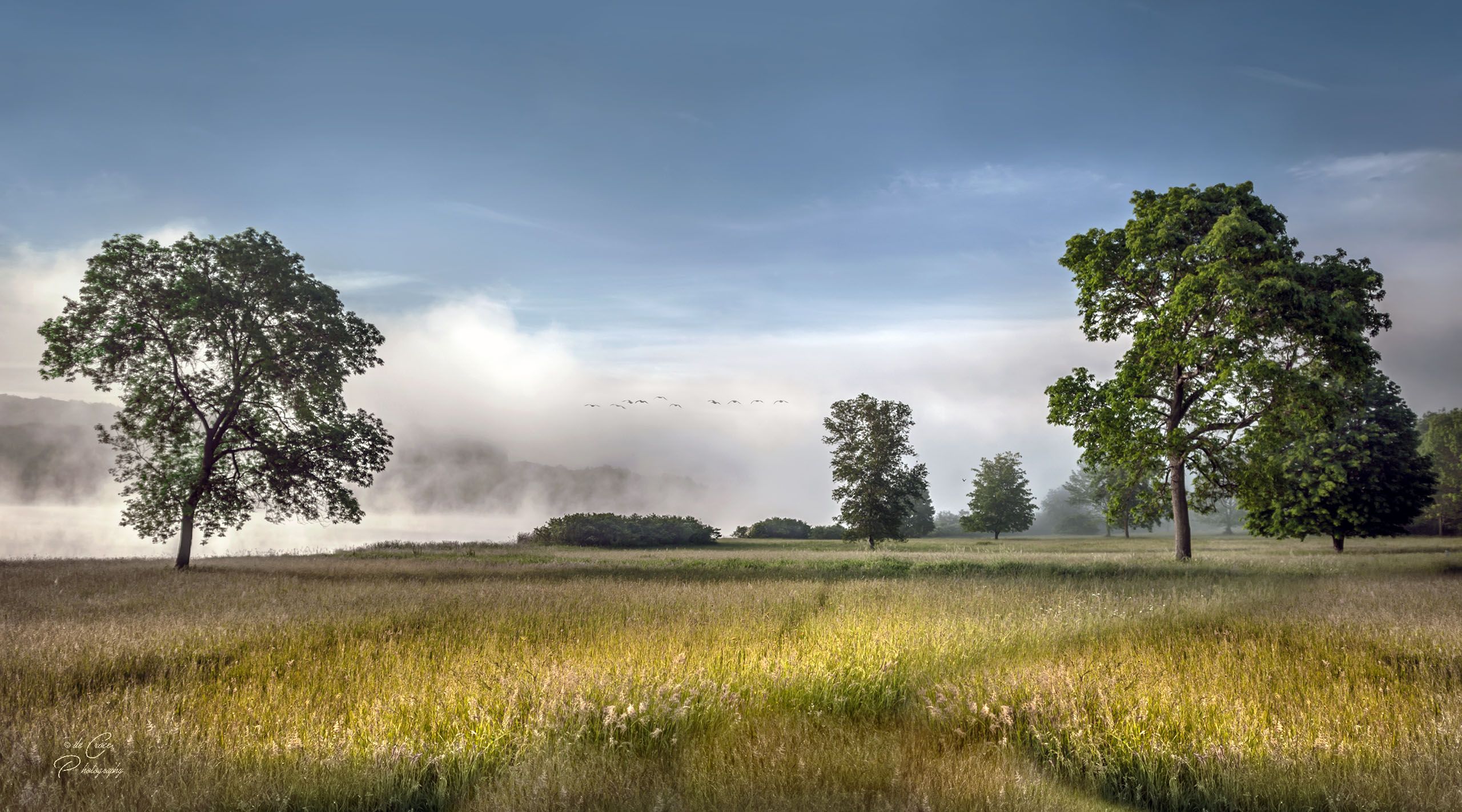 Appalachian Field Morning Fog.jpg