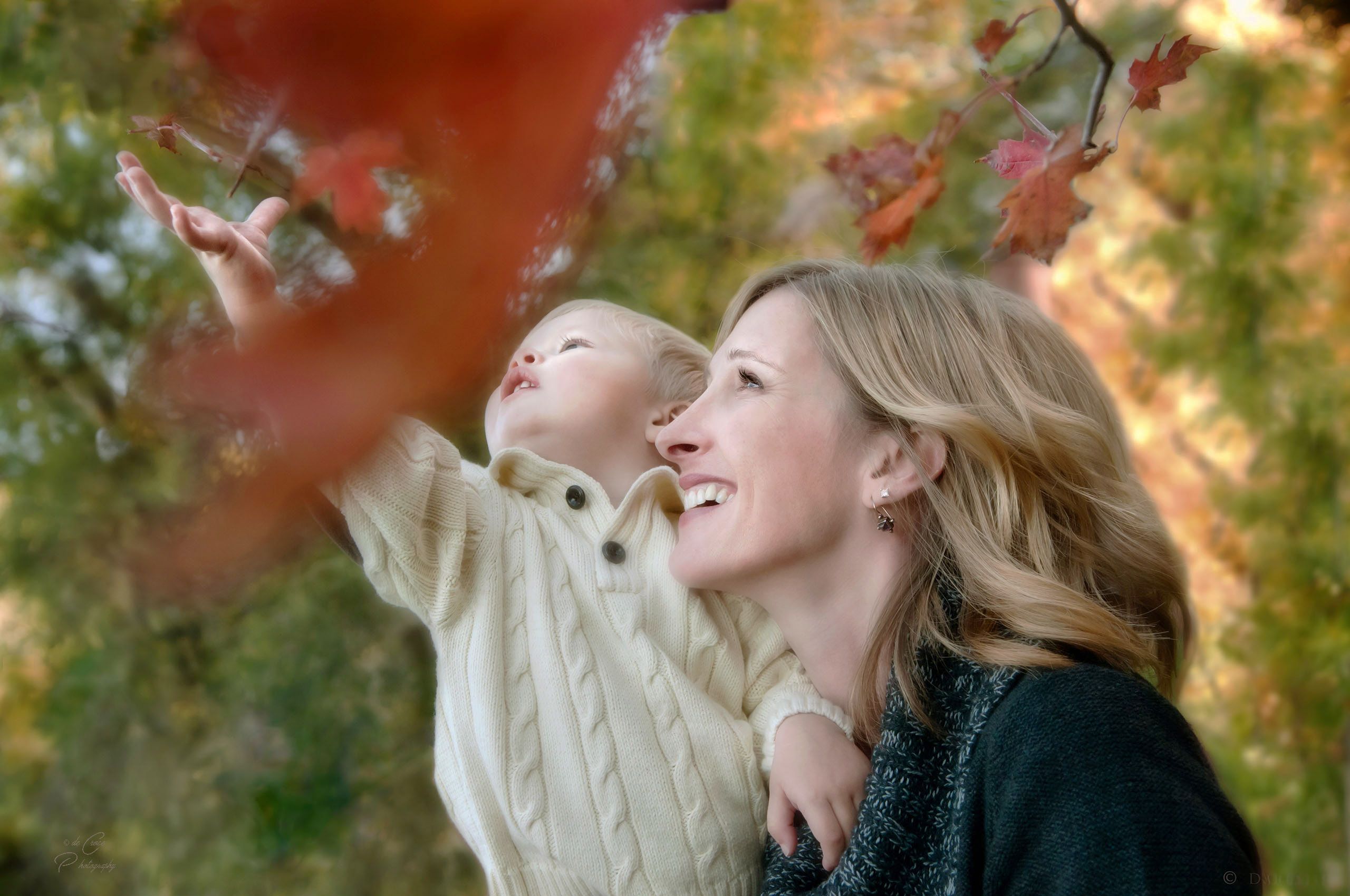 In advertisement lifestyle photography, a young mother holds her son who reaches dor autumn leaf on tree - Colorado Lifestyle Photography - Autumn Joy