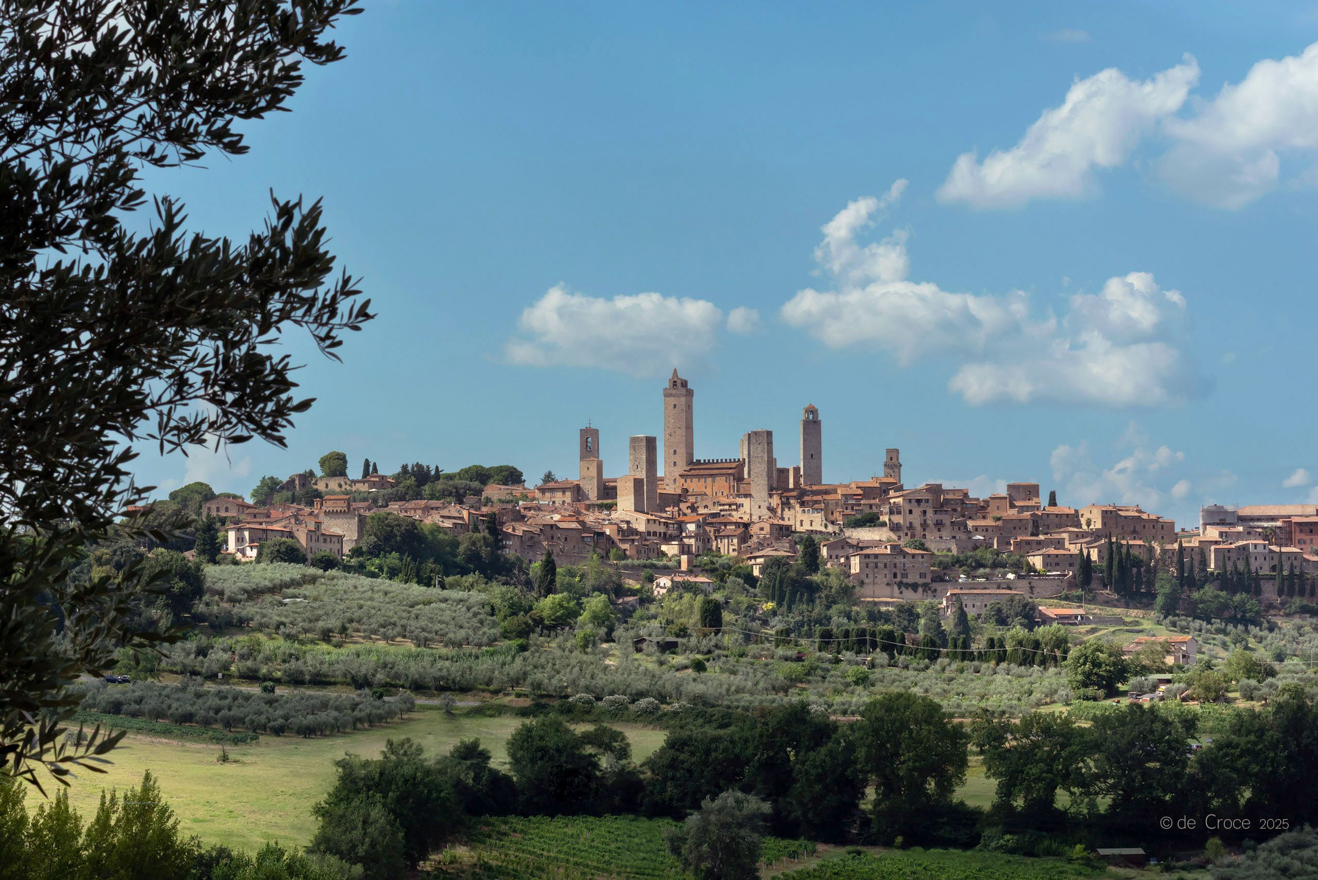 Travel Photography - San Gimignano Italy Olive & Wine Fields
