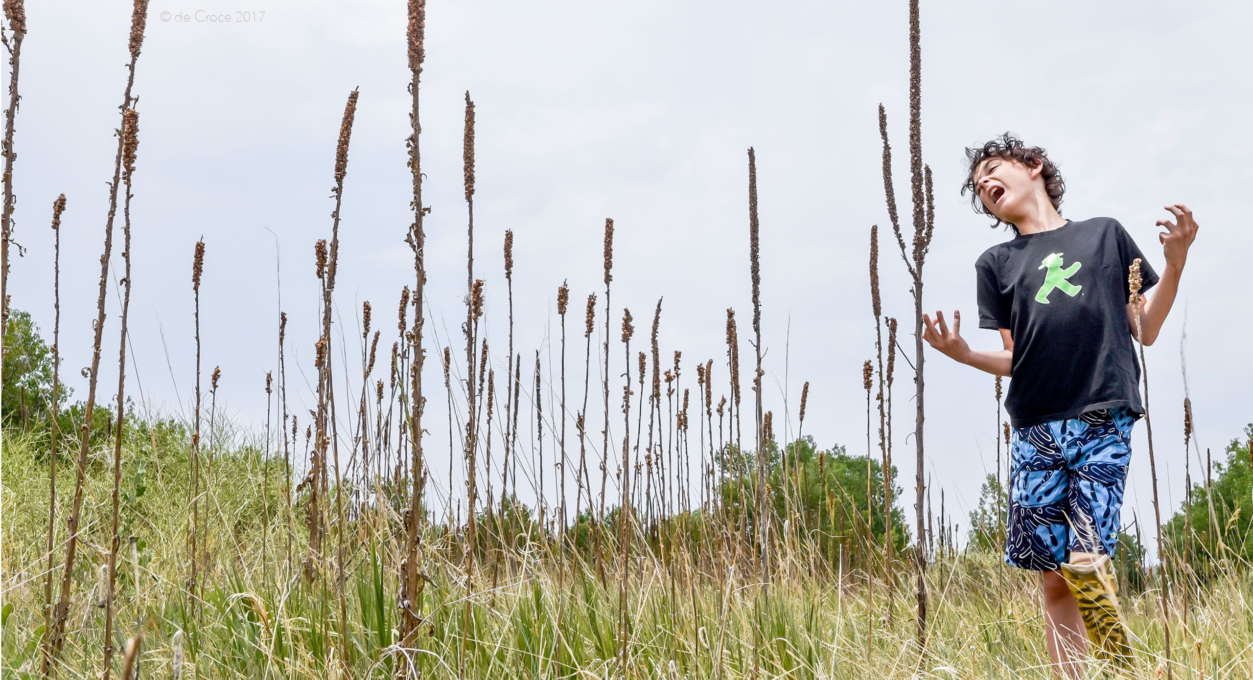 Boy wearing prosthesis on leg demonstrates acting talent by impersonating a cattail in Colorado field; Boy Impersonating Cattail