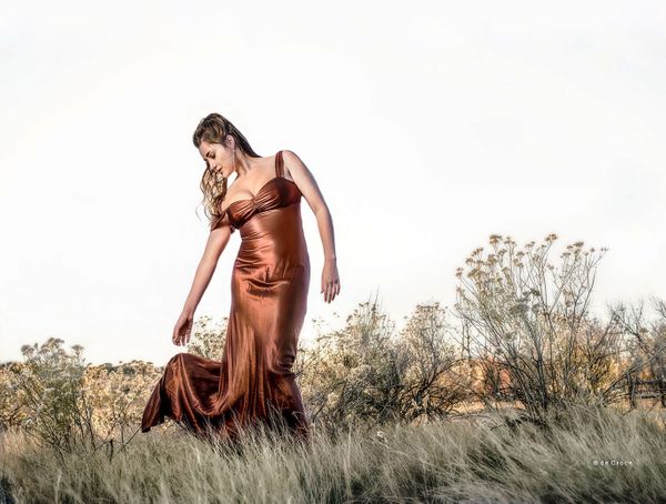 Moedl photograph in Denver field. Denver Model Photographers