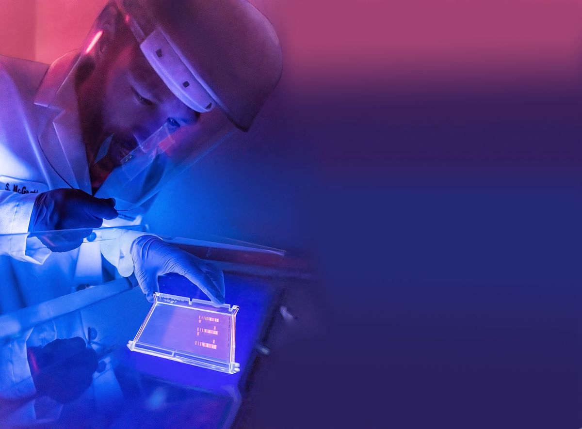 In darked room - half magenta fading to violet, a medical researcher examines data Anschutz Annual Report Cover