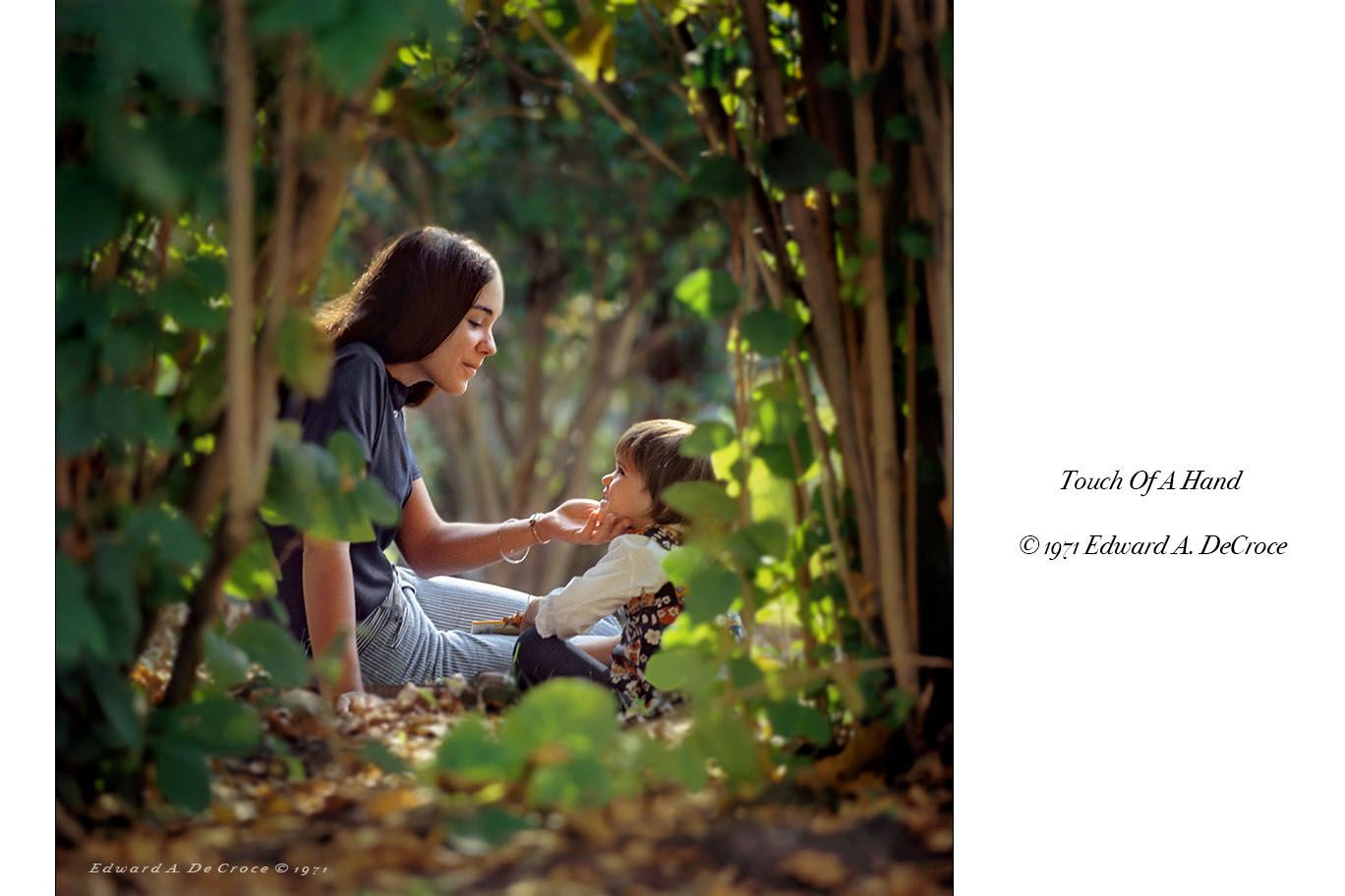 Tough Of A Hand ©1971 DeCroce