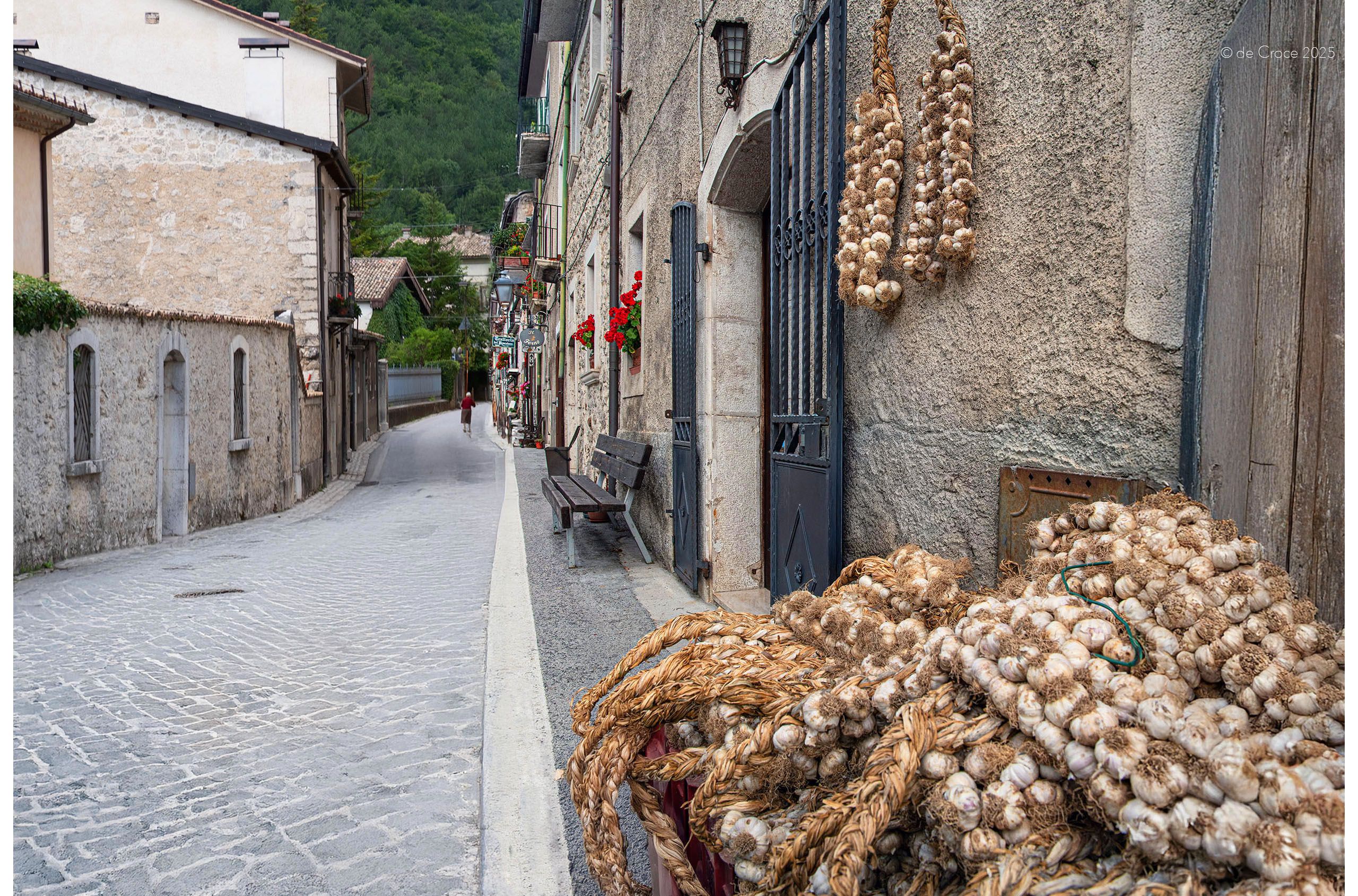 Garlic Scape Shop Tuscany Italy Ok .jpg
