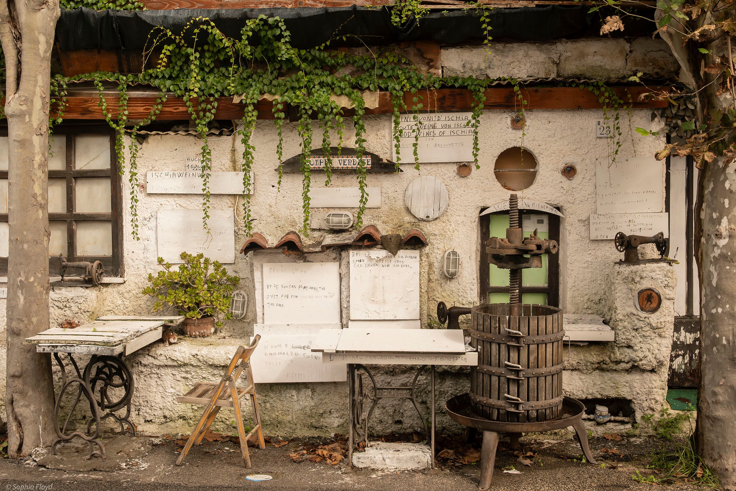 Ischia Italy Wines - Travel Photography