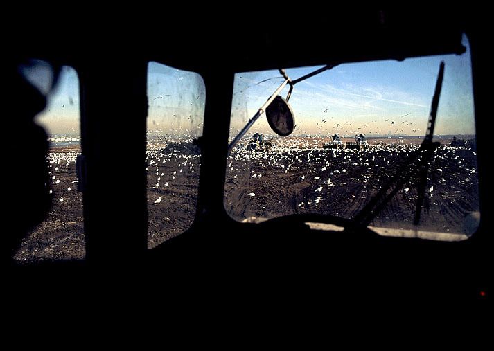 From the inside of a payhauler approaching the dump site at Fresh Kills.