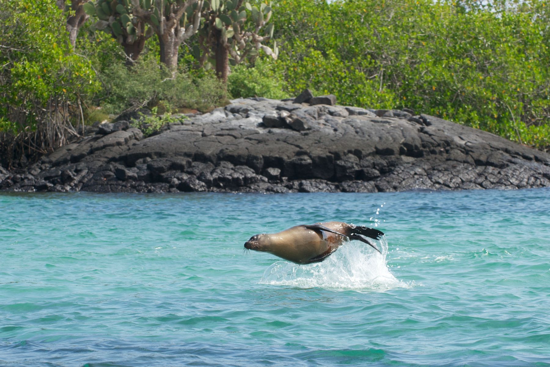 1_dsc3232___2013_04_17_at_18_19_16