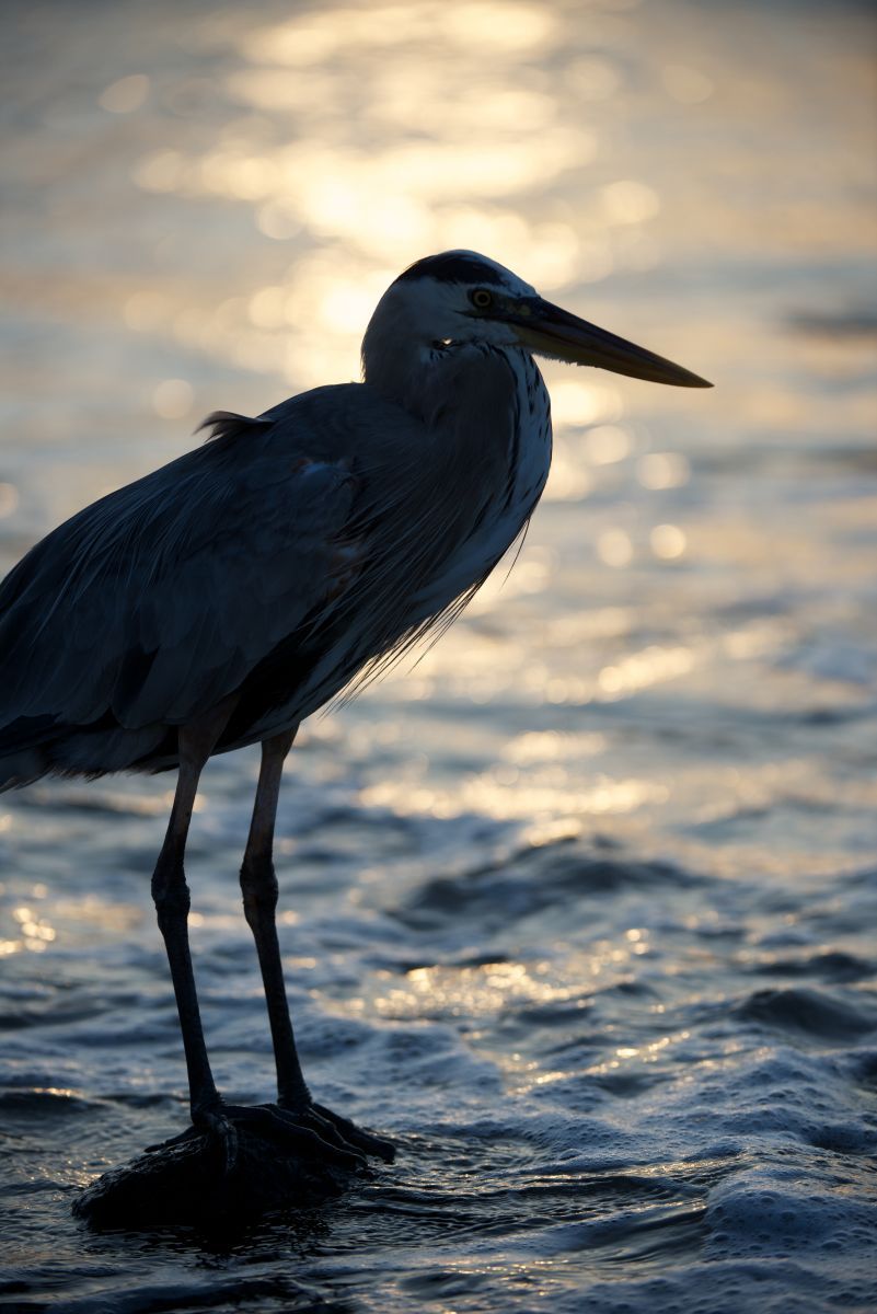 1_dsc2587___2013_04_16_at_02_43_22