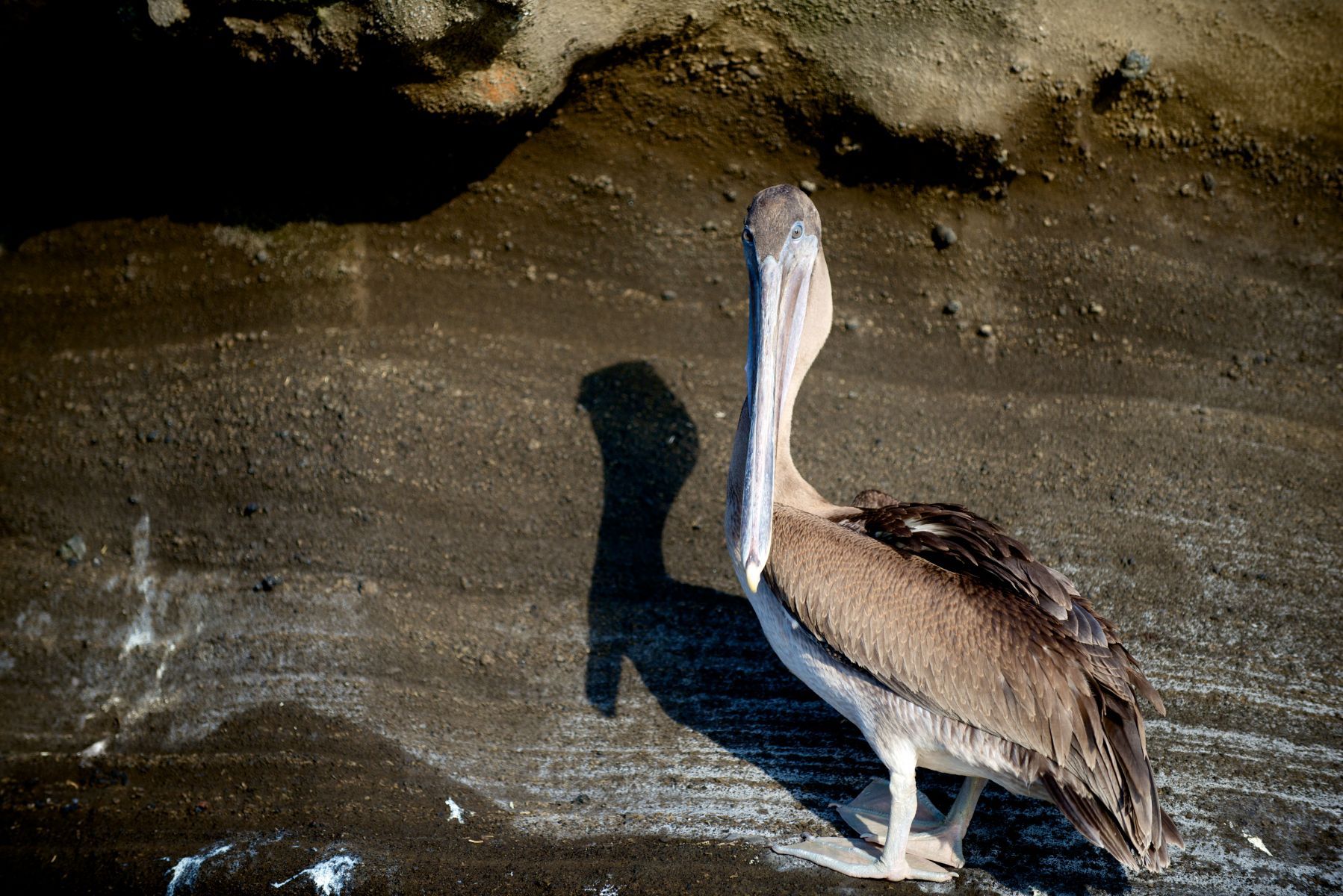 1_dsc1674___2013_04_15_at_01_53_07