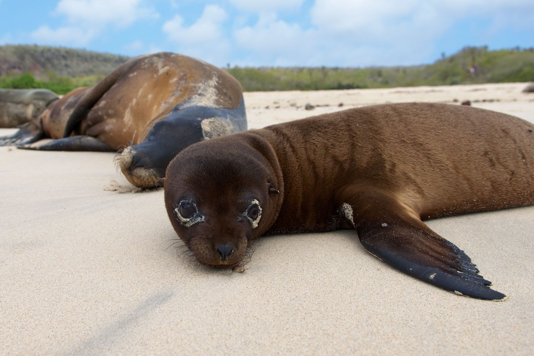 1_dsc4281___2013_04_18_at_18_18_19