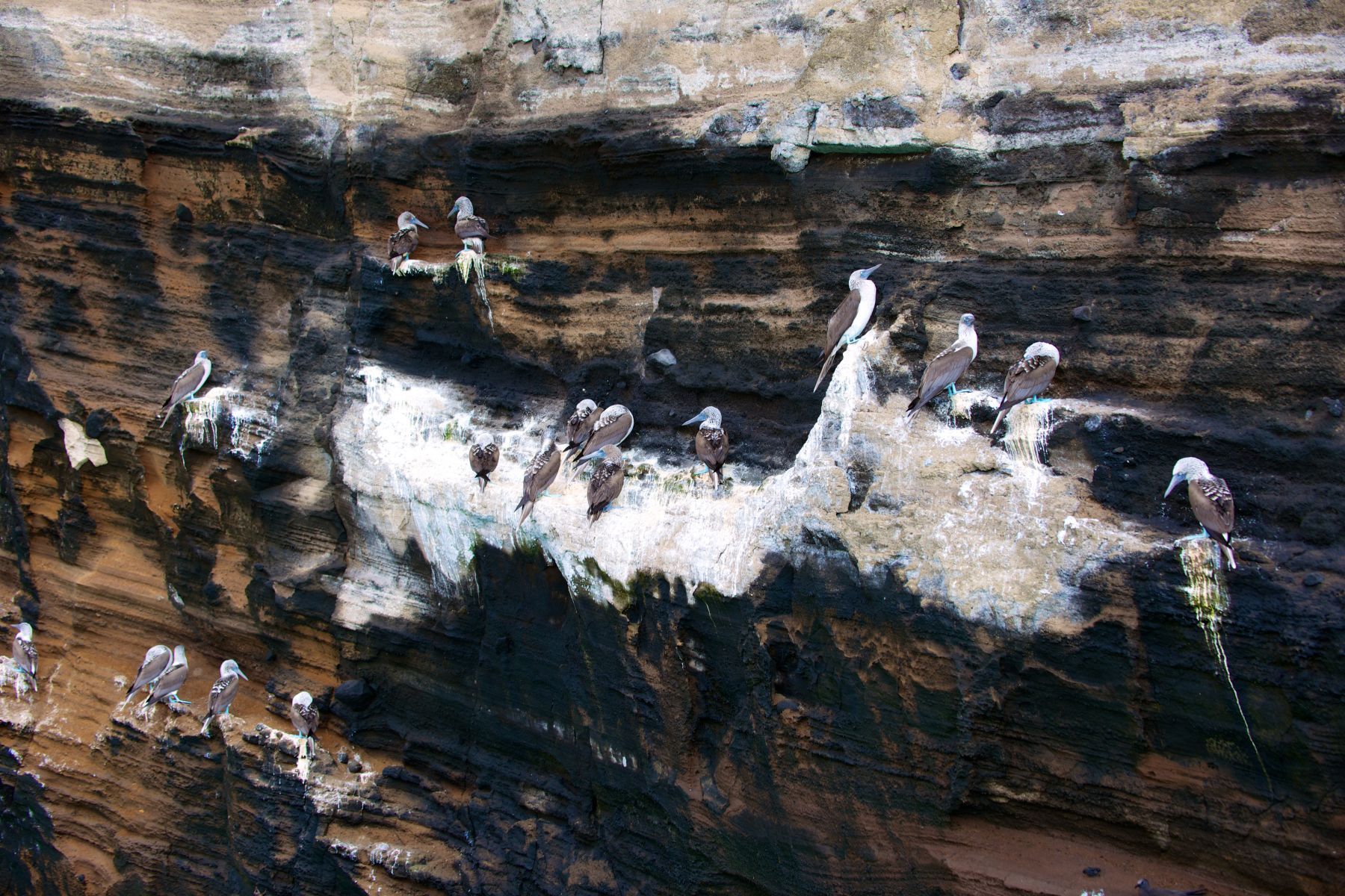 1dsc_1226___2013_04_13_at_18_46_07