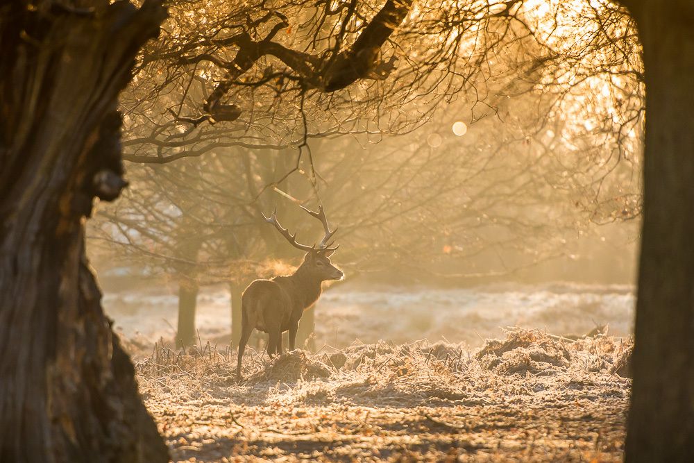 1r20131229_120104_1000