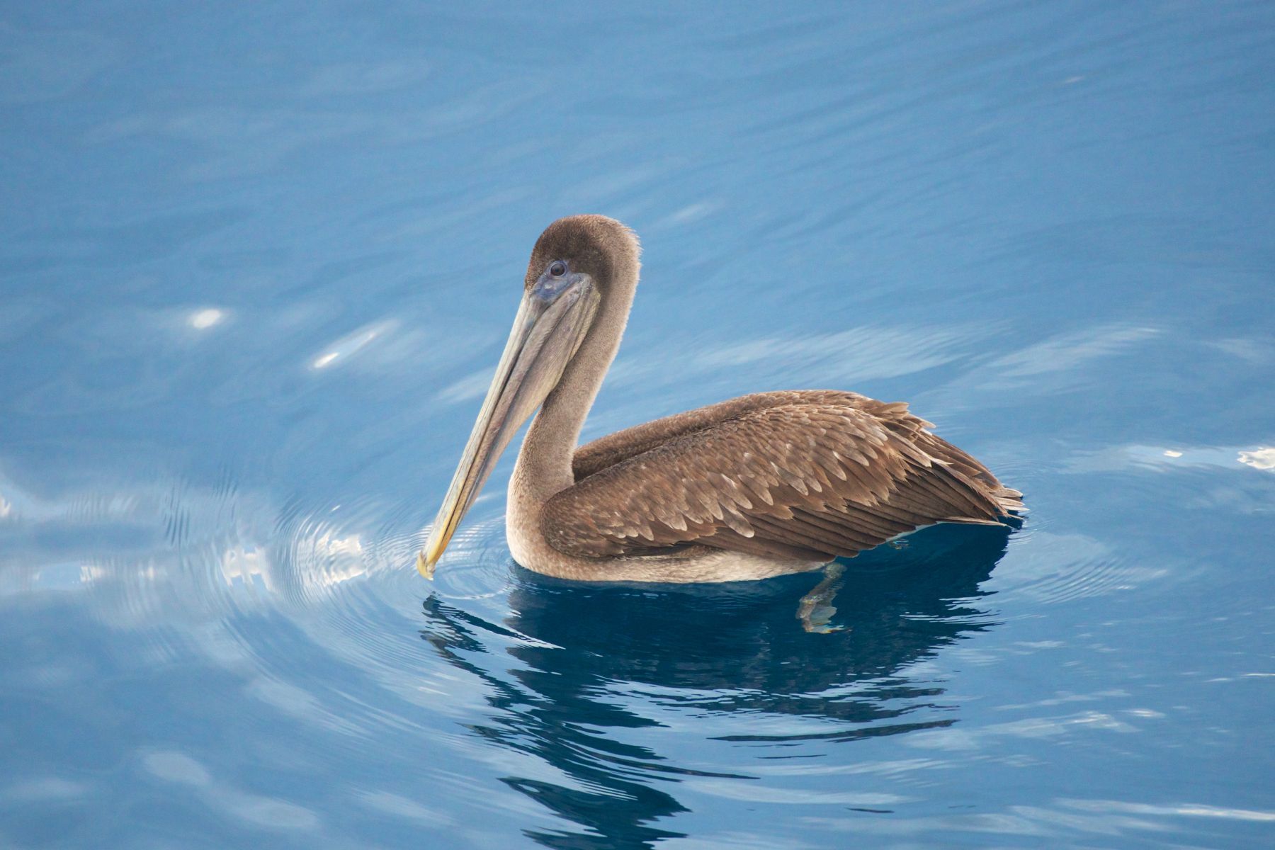 1_dsc4158___2013_04_18_at_16_17_37