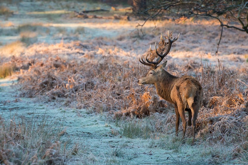 1r20131229_114719_1000