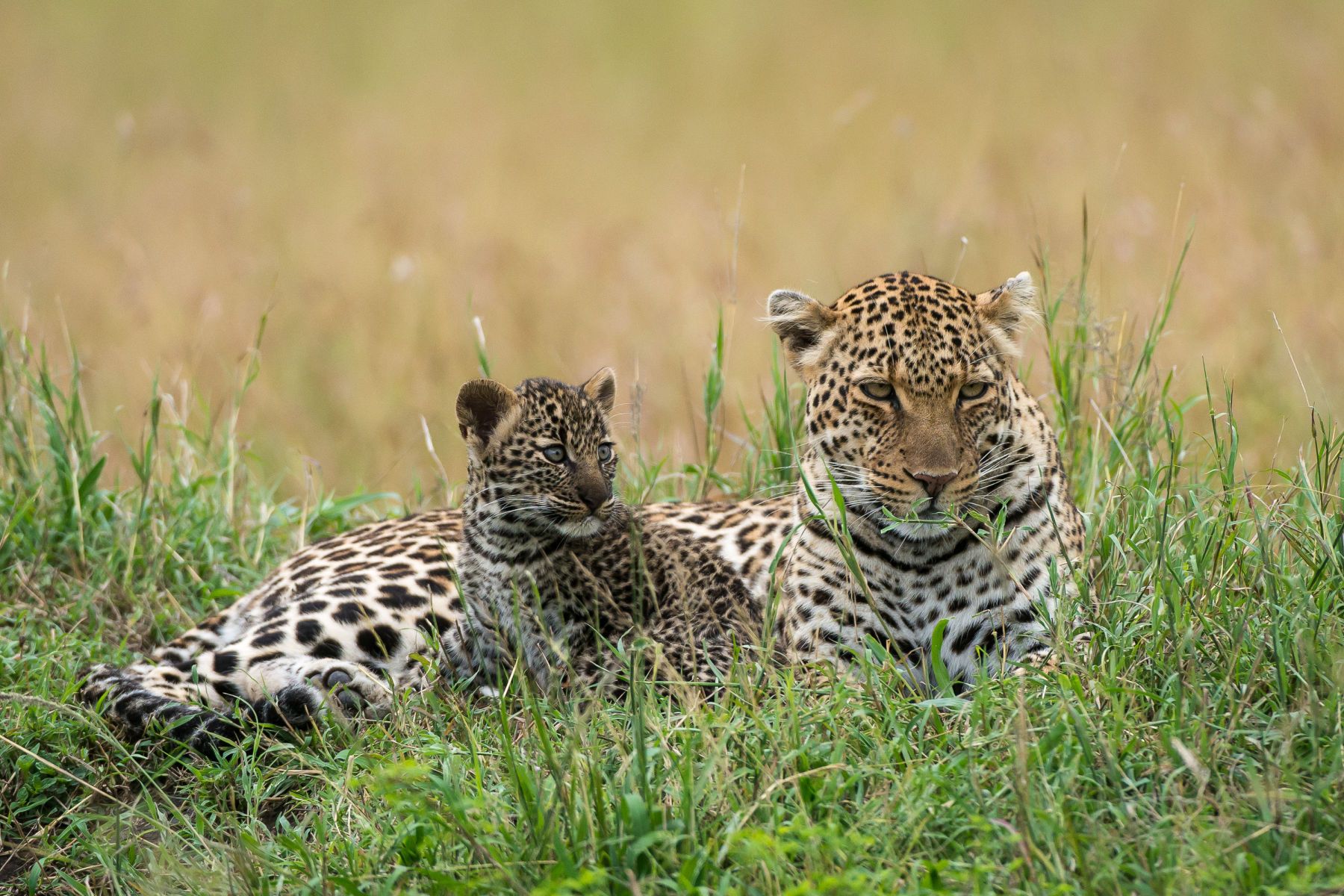 1r20140325_untitled_2714