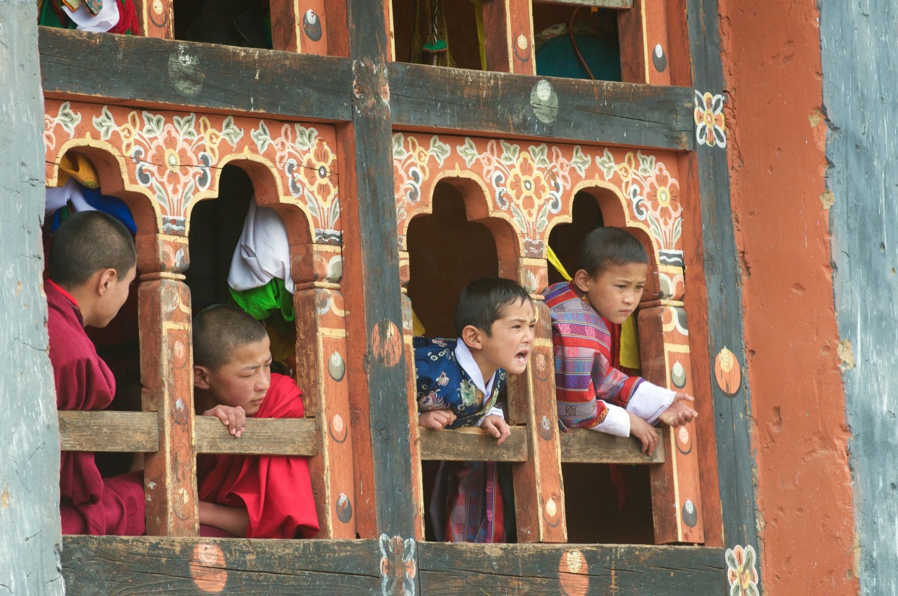 Watching the festival