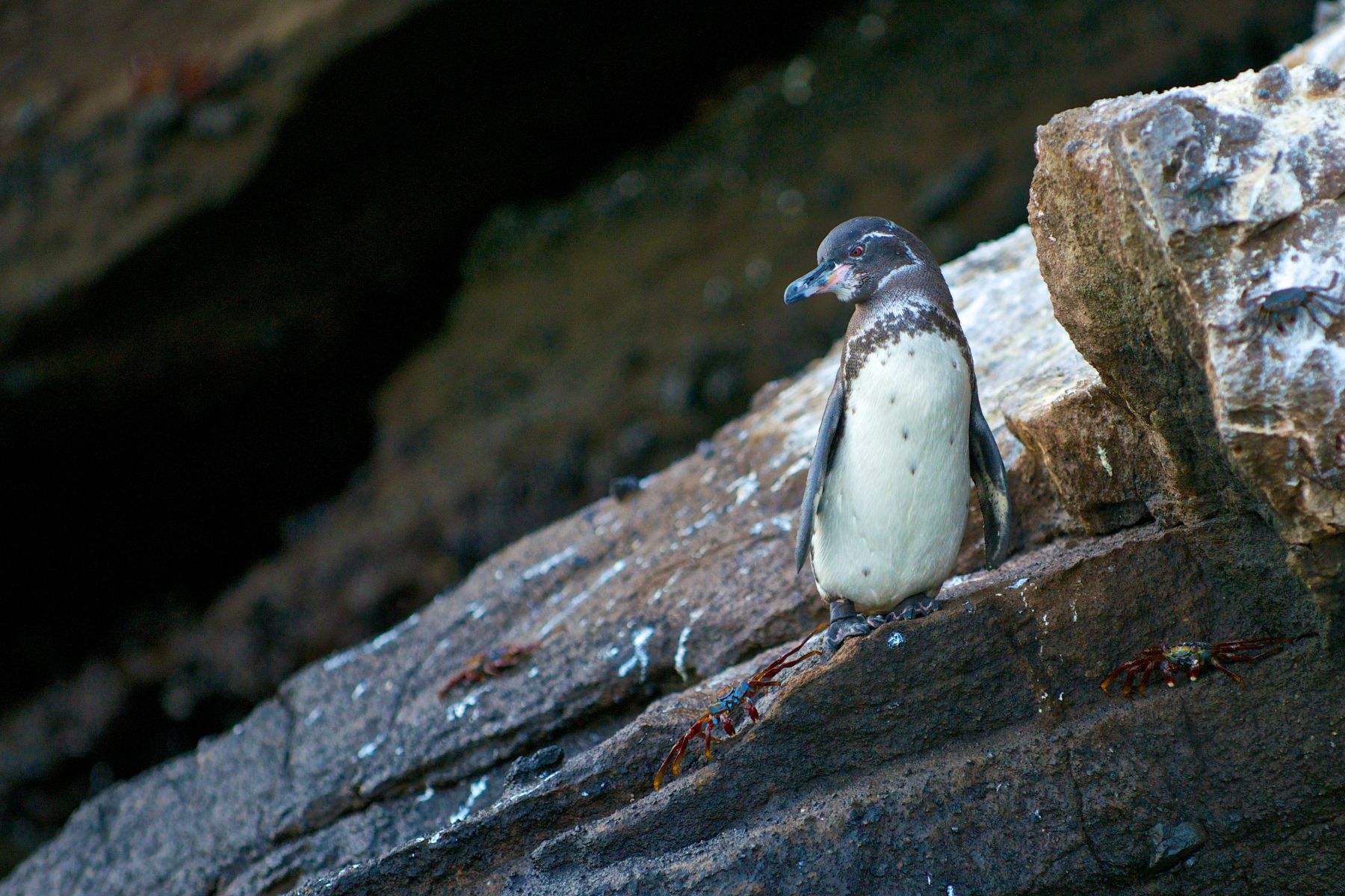 1_dsc1926___2013_04_15_at_02_26_31___version_2