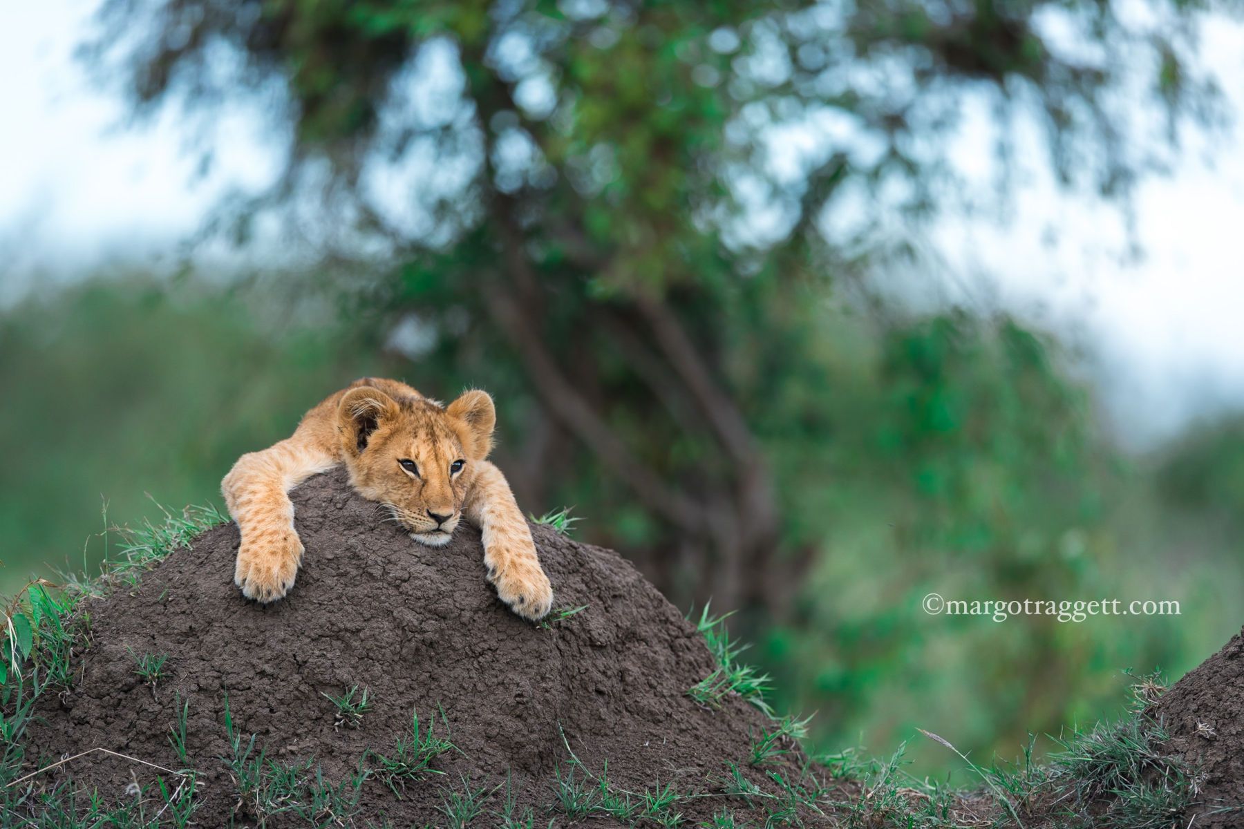 1r20141102_untitled_2154