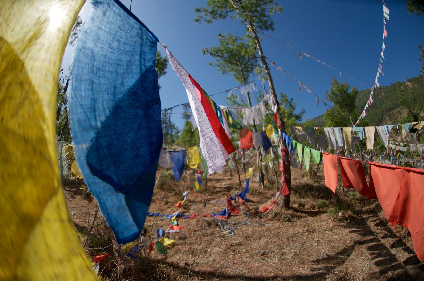 Bhutanese prayer flags