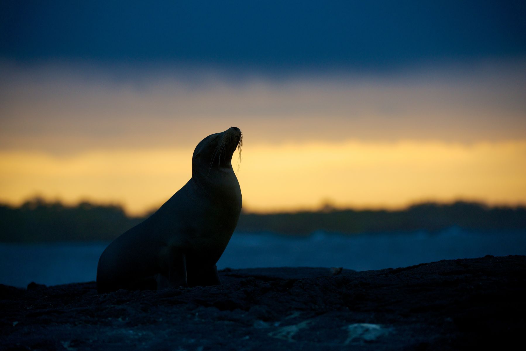 1dsc_1380___2013_04_14_at_02_36_14