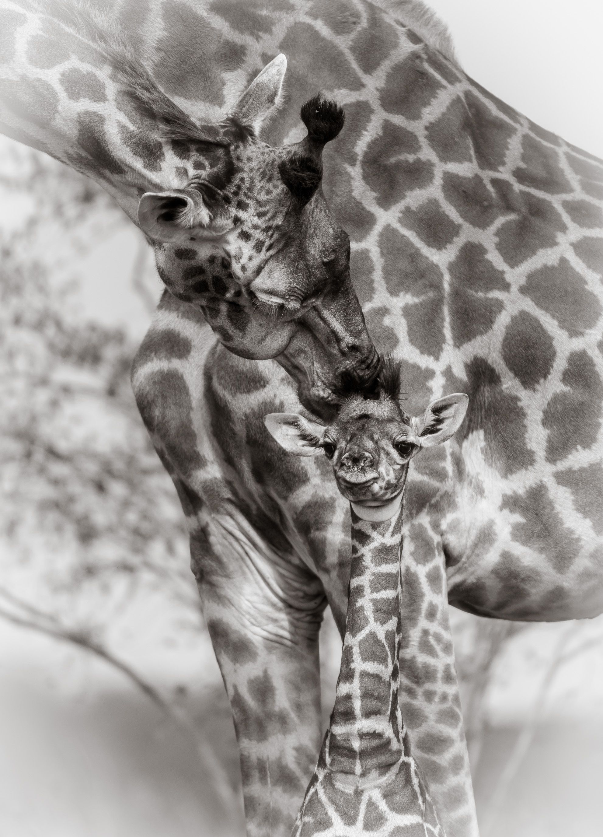 1r20130908_untitled_