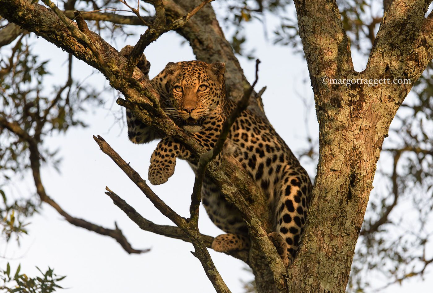 1r20150610_untitled_4181