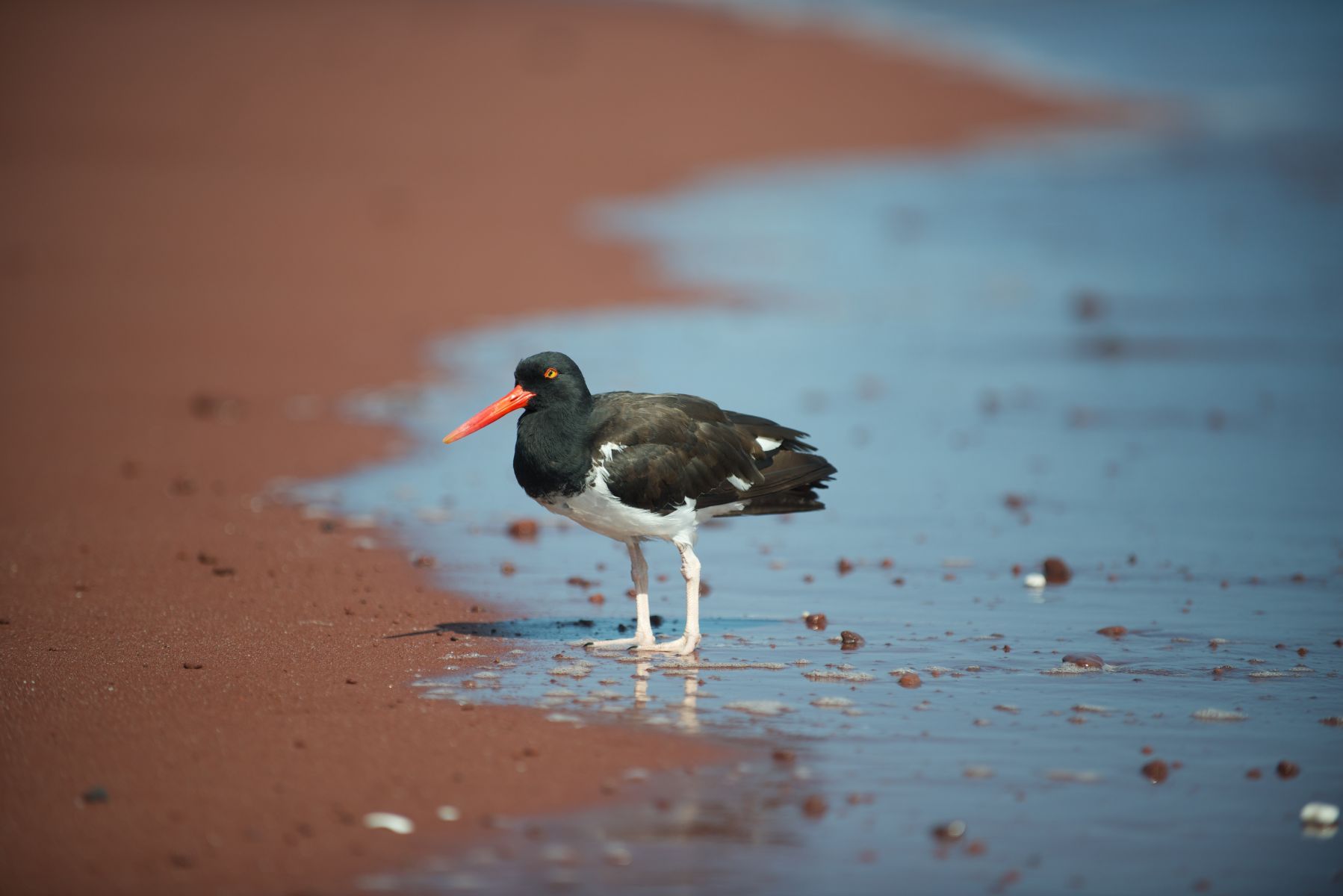 1_dsc2095___2013_04_15_at_18_01_09