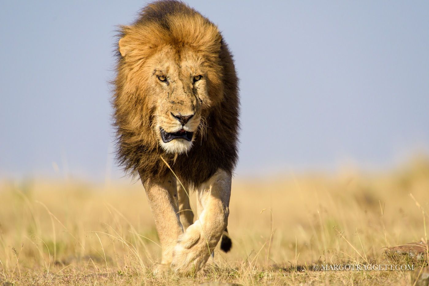 1r20150307_20150307_dsc_1272