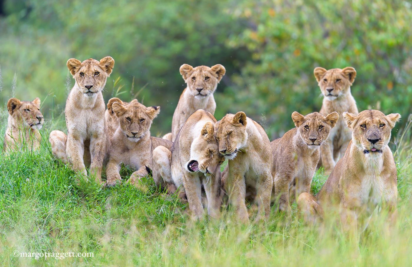 1r20150611_untitled_4870