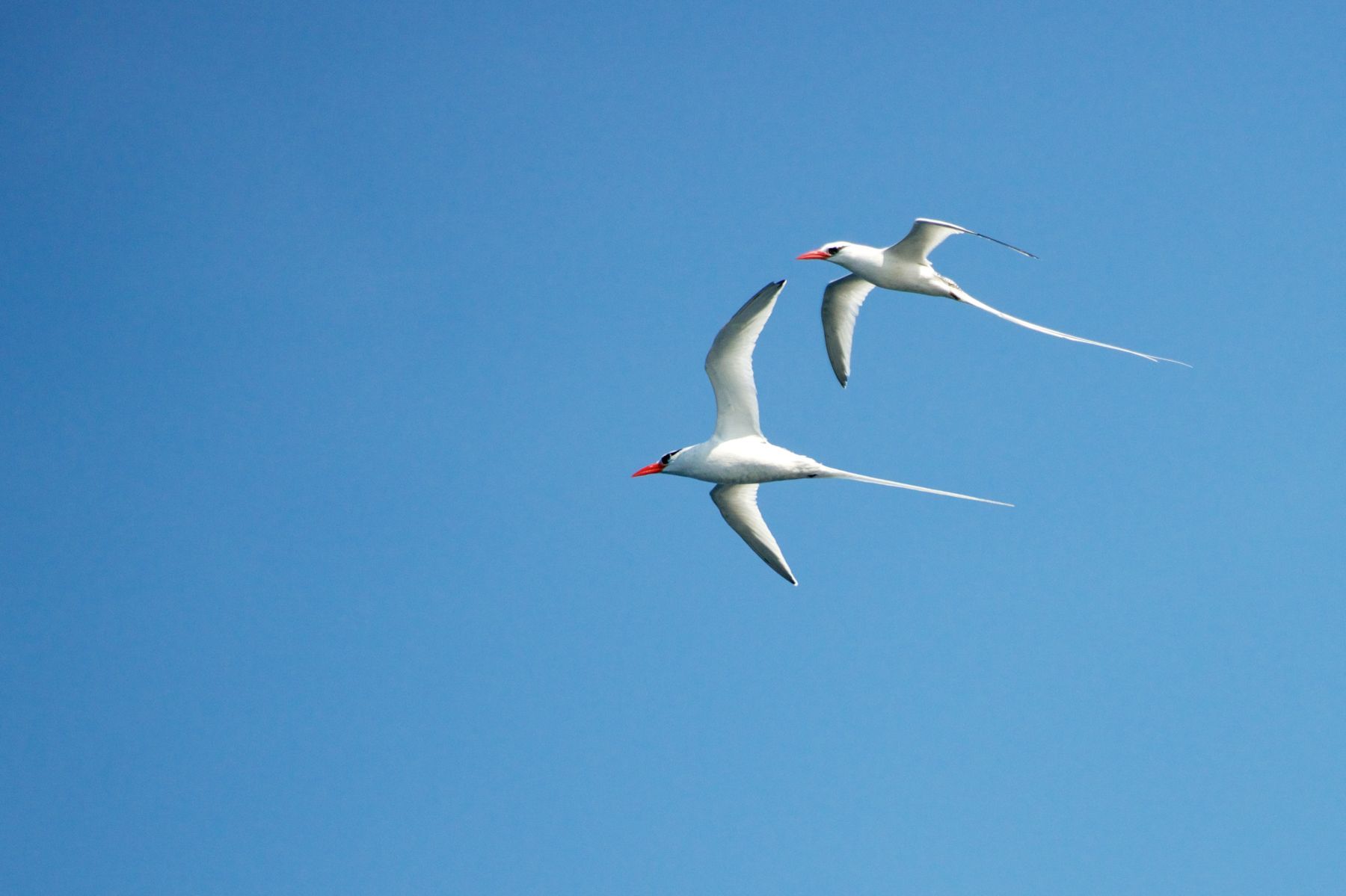 1_dsc3585___2013_04_17_at_23_58_08