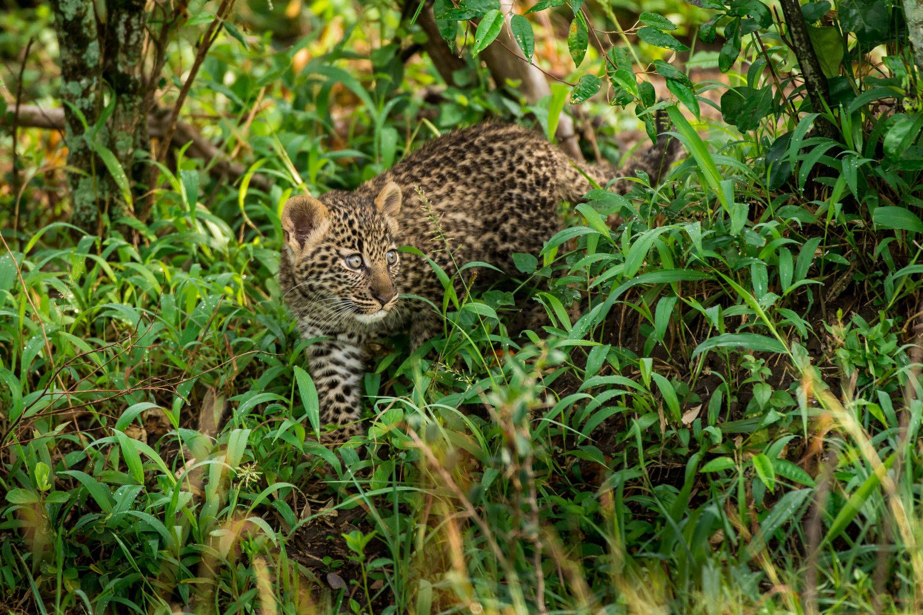 1r20140324_untitled_1389