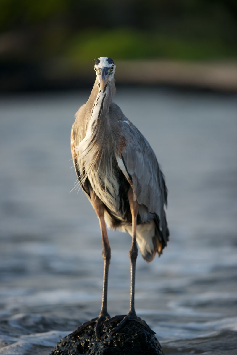 1_dsc2567___2013_04_16_at_02_33_53