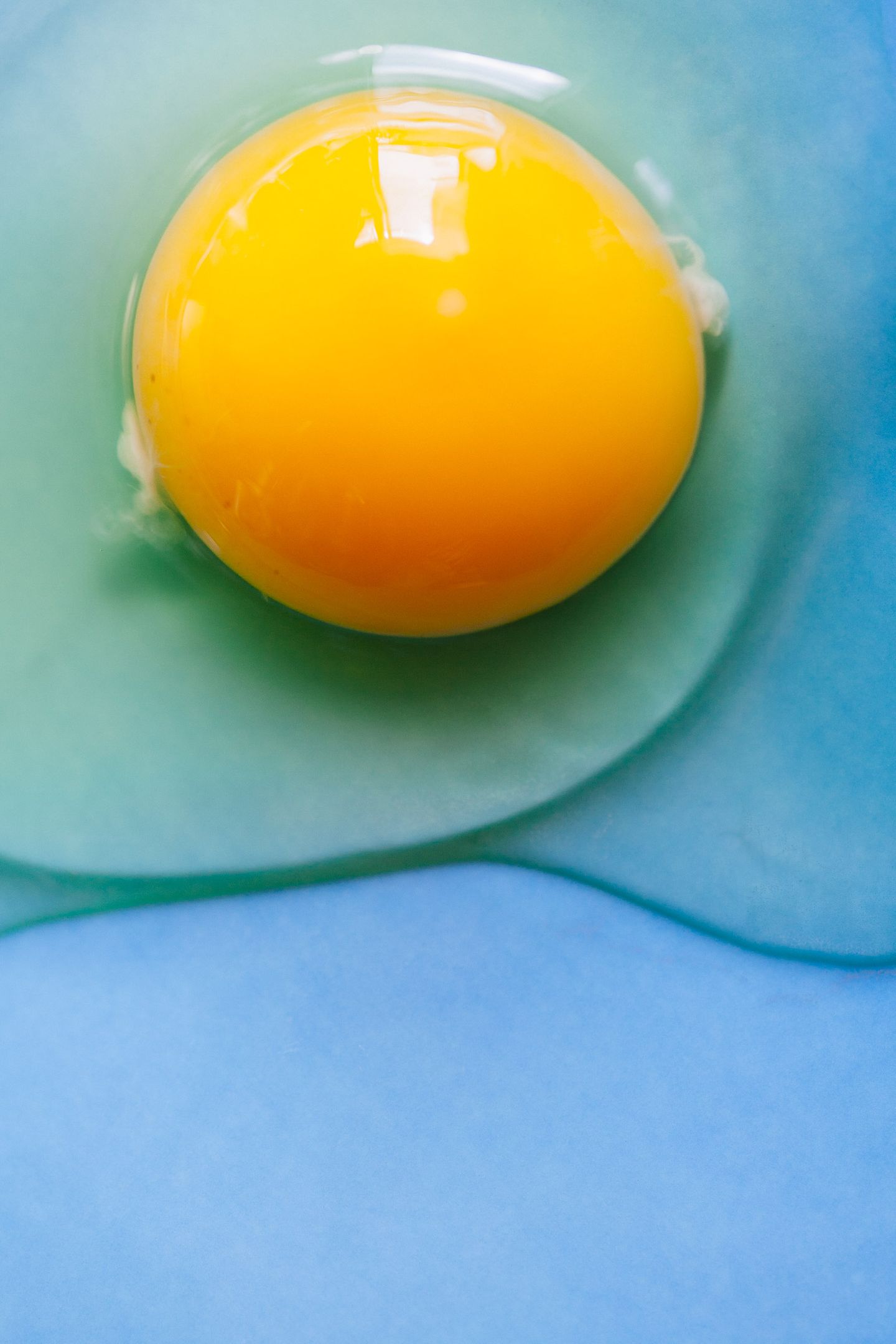 Yellow egg yolk 